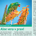 Článek v časopise Nová exota 7-8/2011